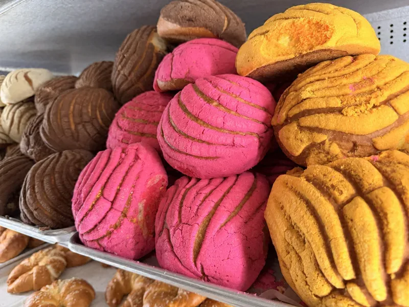 Pink, orange and chocolate conchas at the panadería